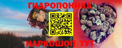 прущие крисы Апшеронск