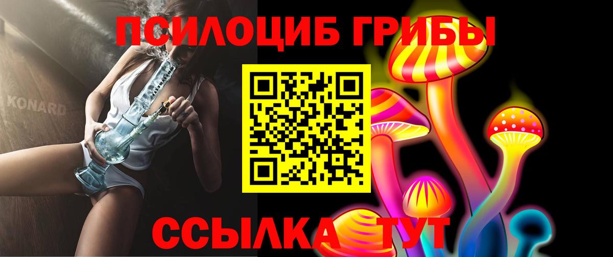Галлюциногенные грибы GOLDEN TEACHER Богородицк