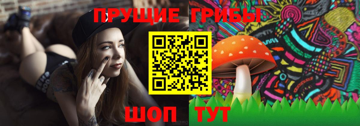 Псилоцибиновые грибы GOLDEN TEACHER  Вход с VPN  хочу наркоту  Богородицк  Галлюциногенные грибы MAGIC MUSHROOMS 